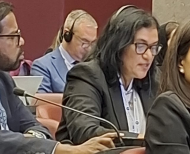 Matters related to the mandate of the Committee on Victim Assistance Anti-Personnel Mine Ban Convention Intersessional meetings | 17-20 June 2025