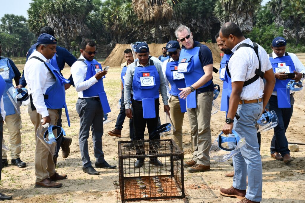 Destroying found mines at the site as demonstration
